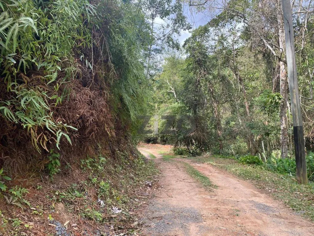 Fazenda, 281 hectares - Foto 14