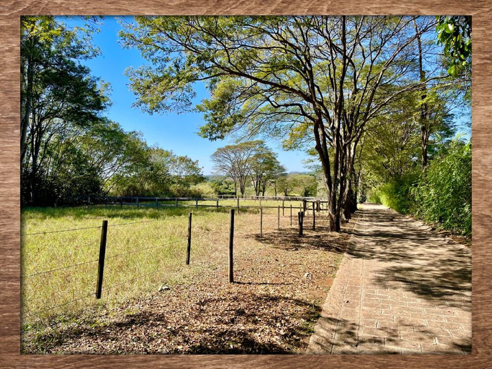 Fazenda, 2 quartos - Foto 16