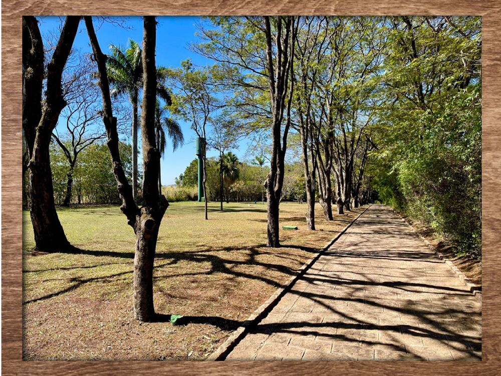 Fazenda, 2 quartos - Foto 15