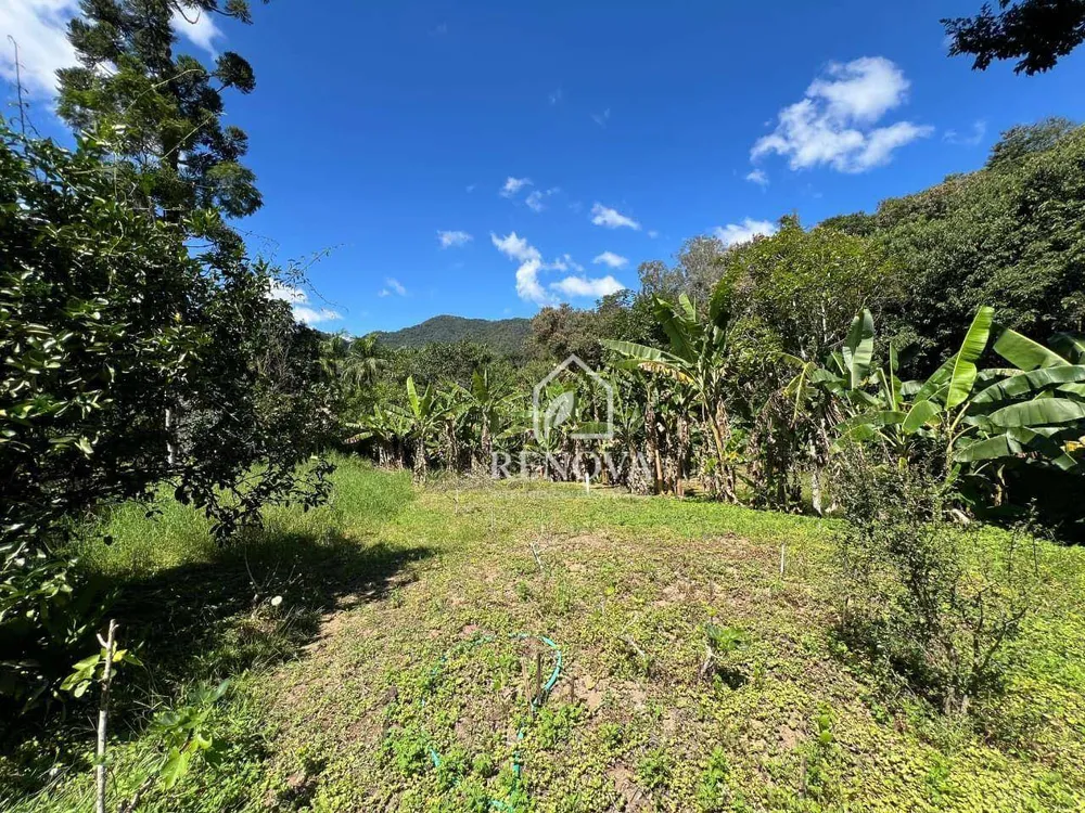 Sítio, 6 quartos, 5 hectares - Foto 14