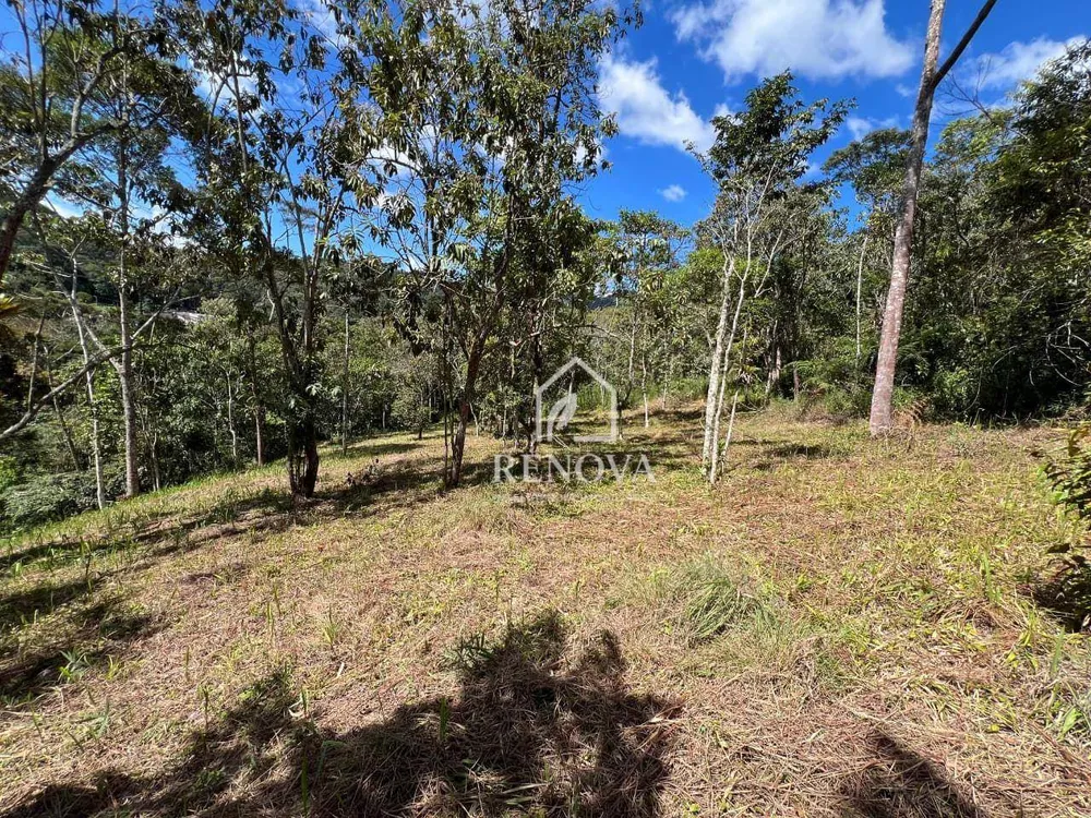 Sítio, 6 quartos, 5 hectares - Foto 32