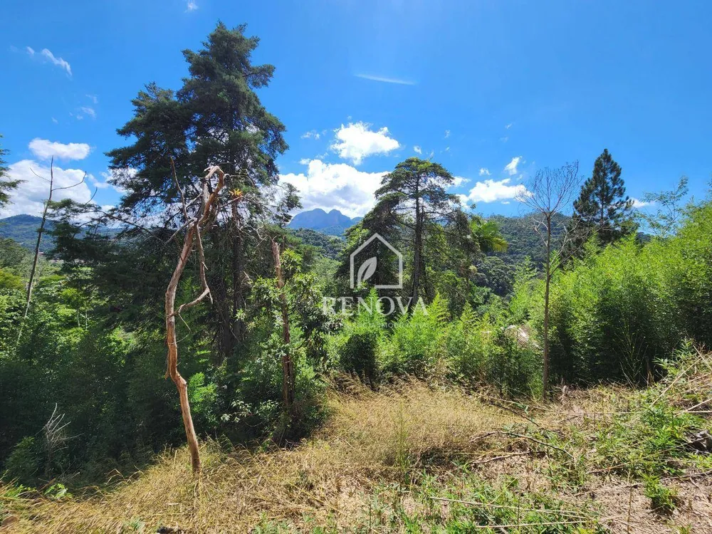 Terreno, 1750 m² - Foto 4