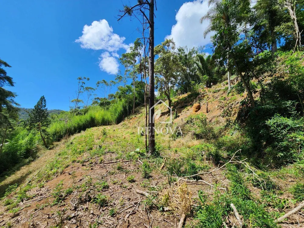 Terreno, 1750 m² - Foto 12