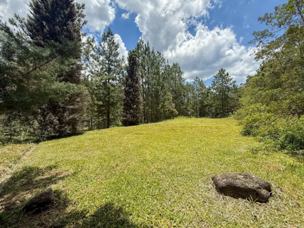 Chácara, 3 quartos, 2 hectares - Foto 4