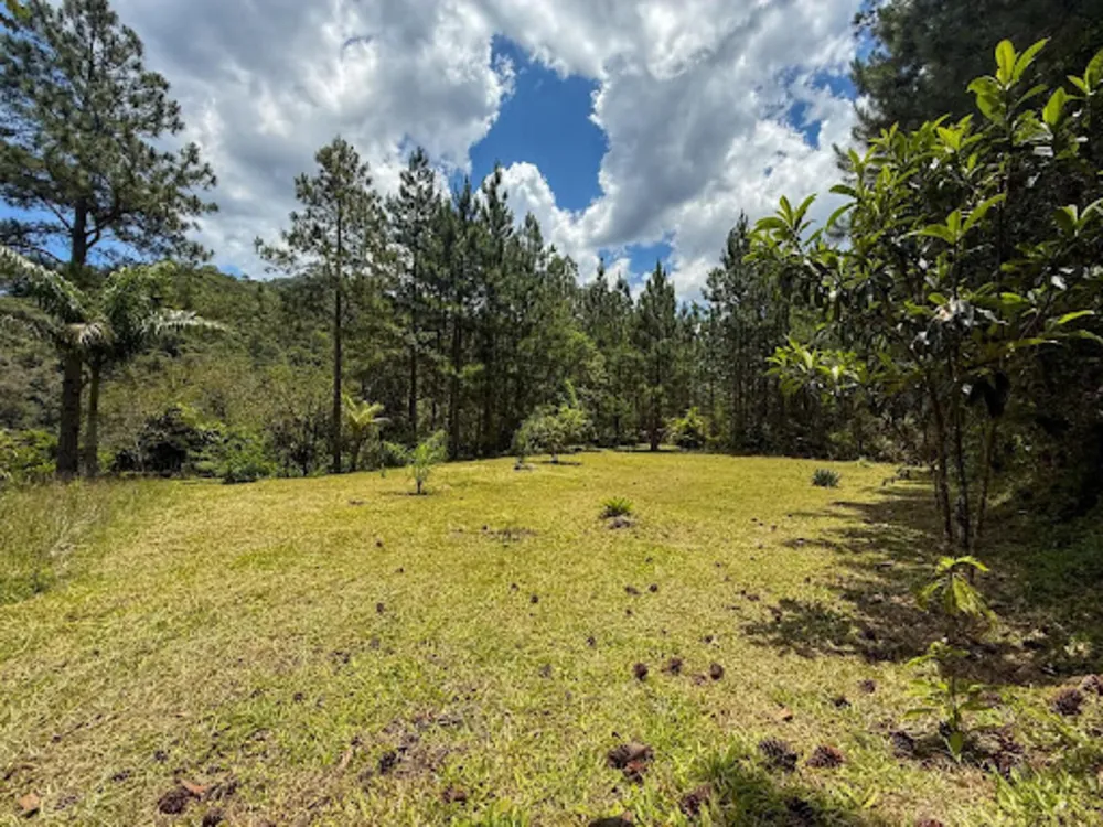 Chácara, 3 quartos, 2 hectares - Foto 19