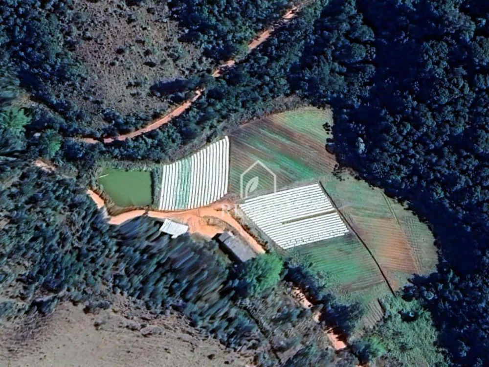 Sítio, 6 quartos, 174 m² - Foto 28