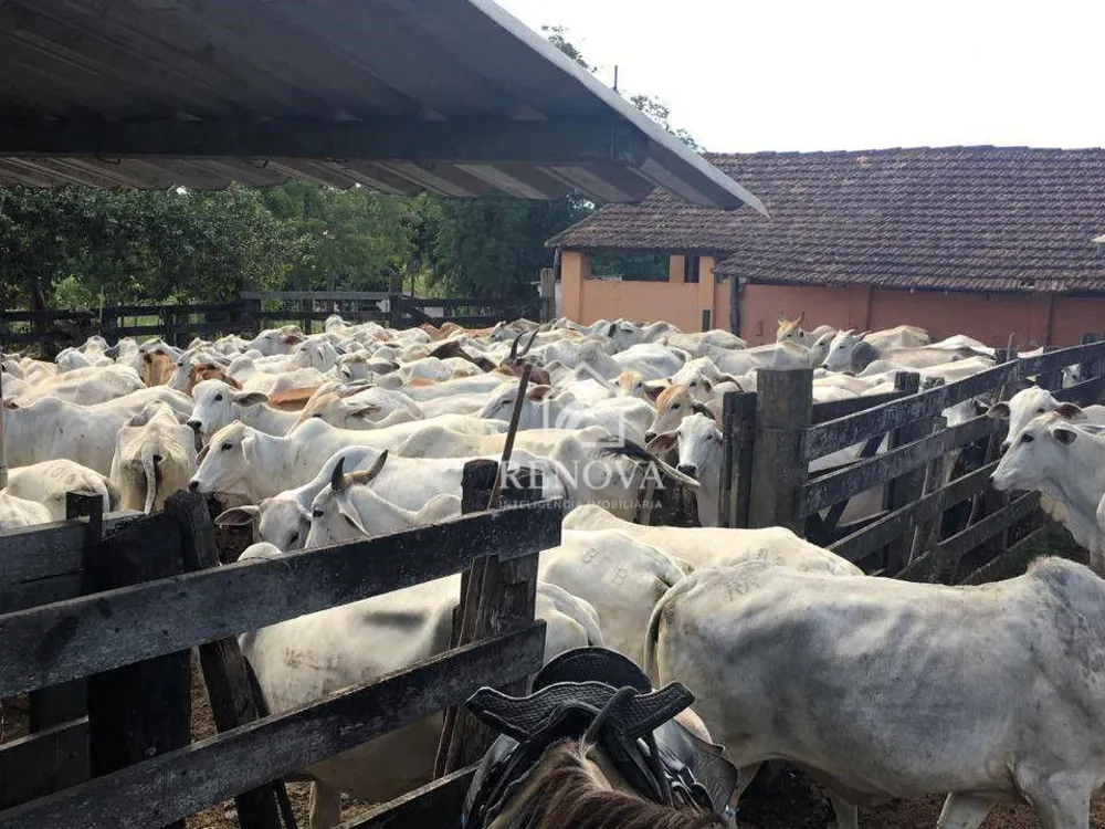 Fazenda, 249 hectares - Foto 12