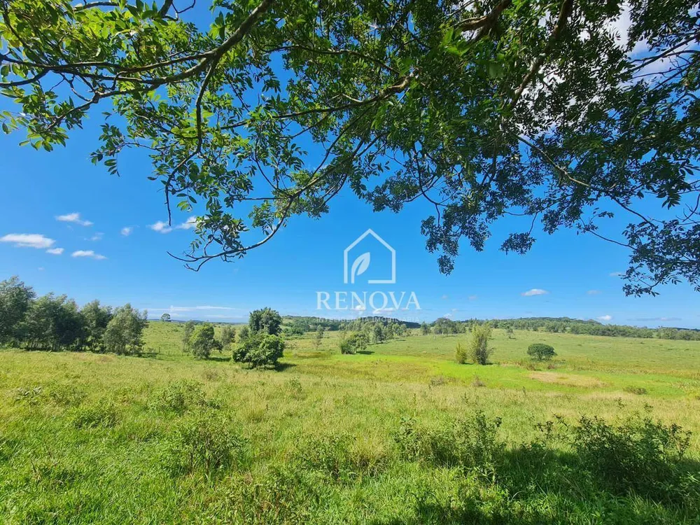 Fazenda, 249 hectares - Foto 23