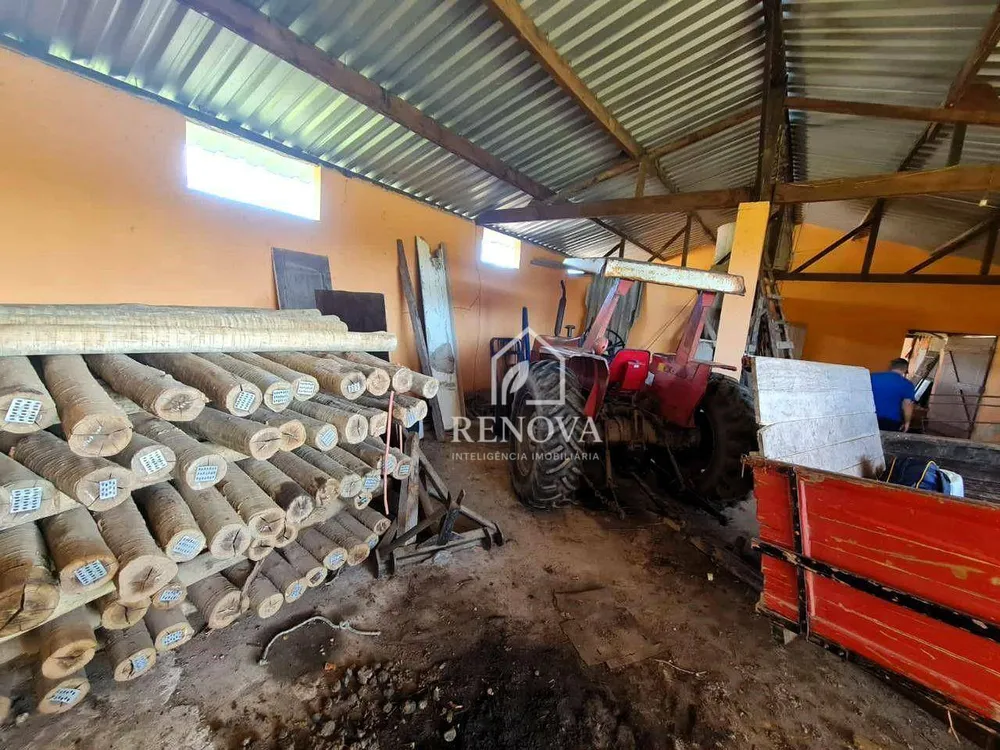 Fazenda, 249 hectares - Foto 32