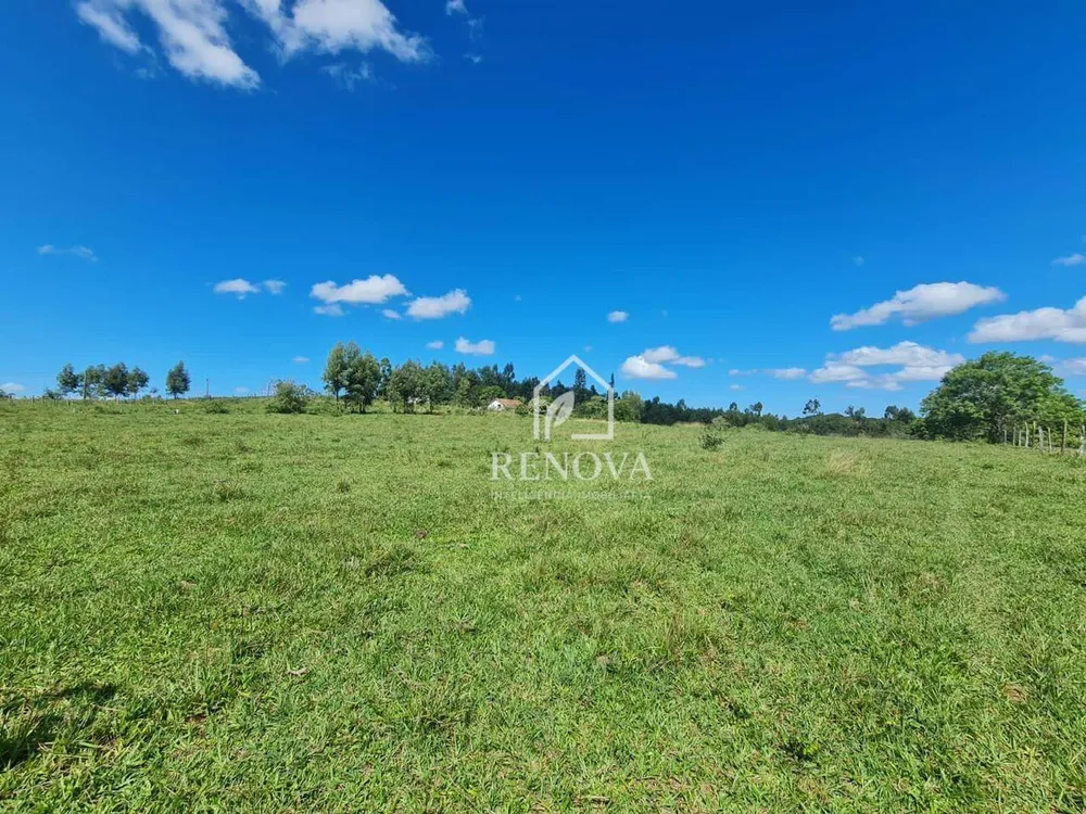 Fazenda, 249 hectares - Foto 24