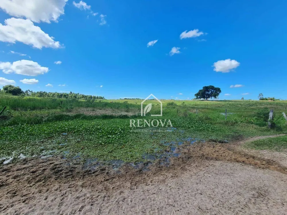 Fazenda, 249 hectares - Foto 37