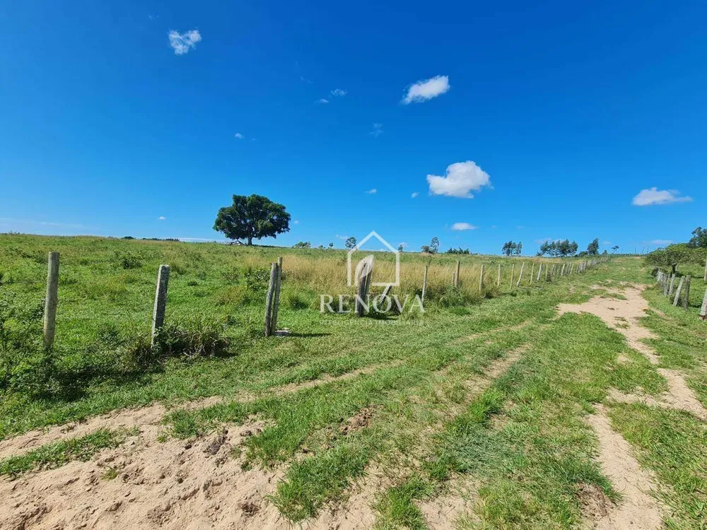 Fazenda, 249 hectares - Foto 27