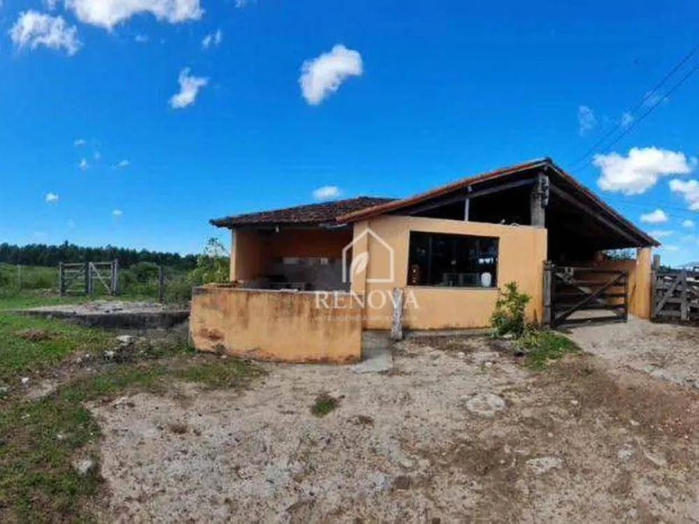Fazenda, 249 hectares - Foto 9