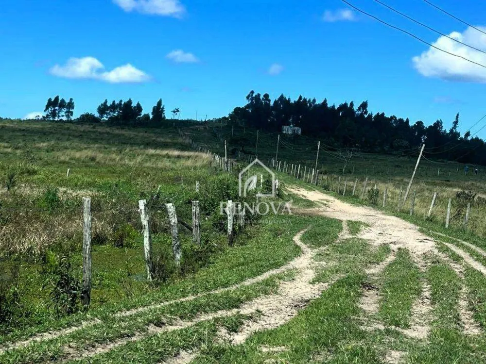 Fazenda, 249 hectares - Foto 7