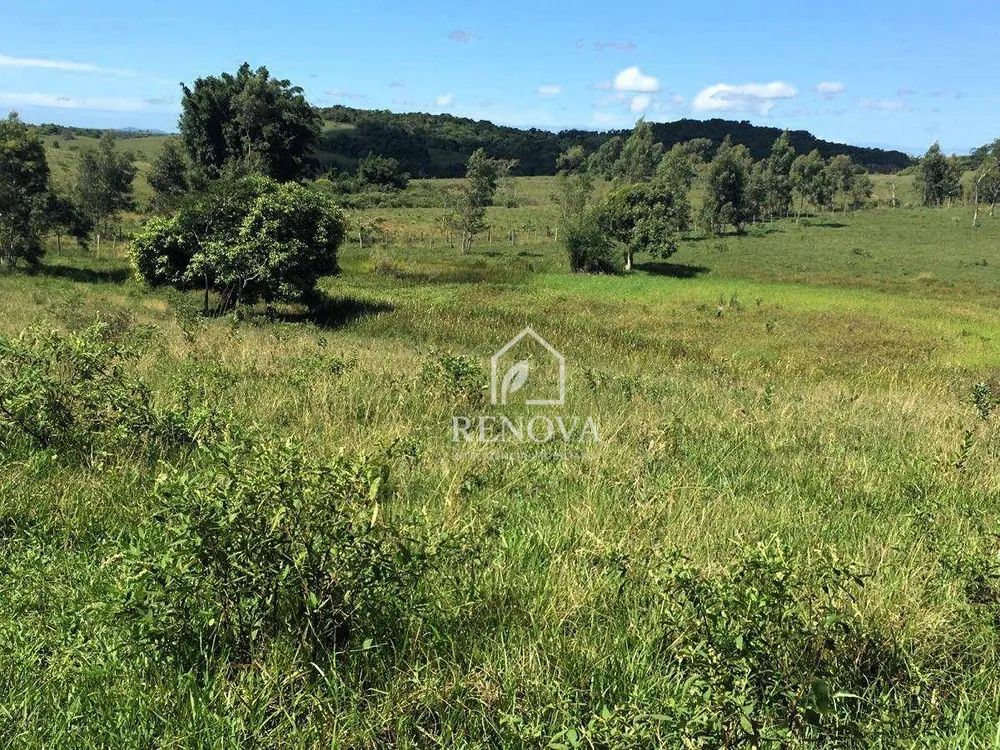 Fazenda, 249 hectares - Foto 4