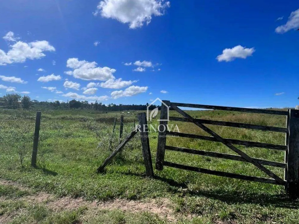 Fazenda, 249 hectares - Foto 20