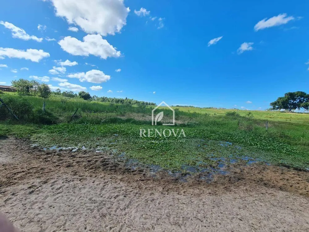 Fazenda, 249 hectares - Foto 39