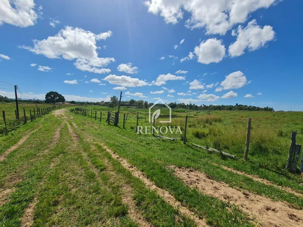 Fazenda, 249 hectares - Foto 38