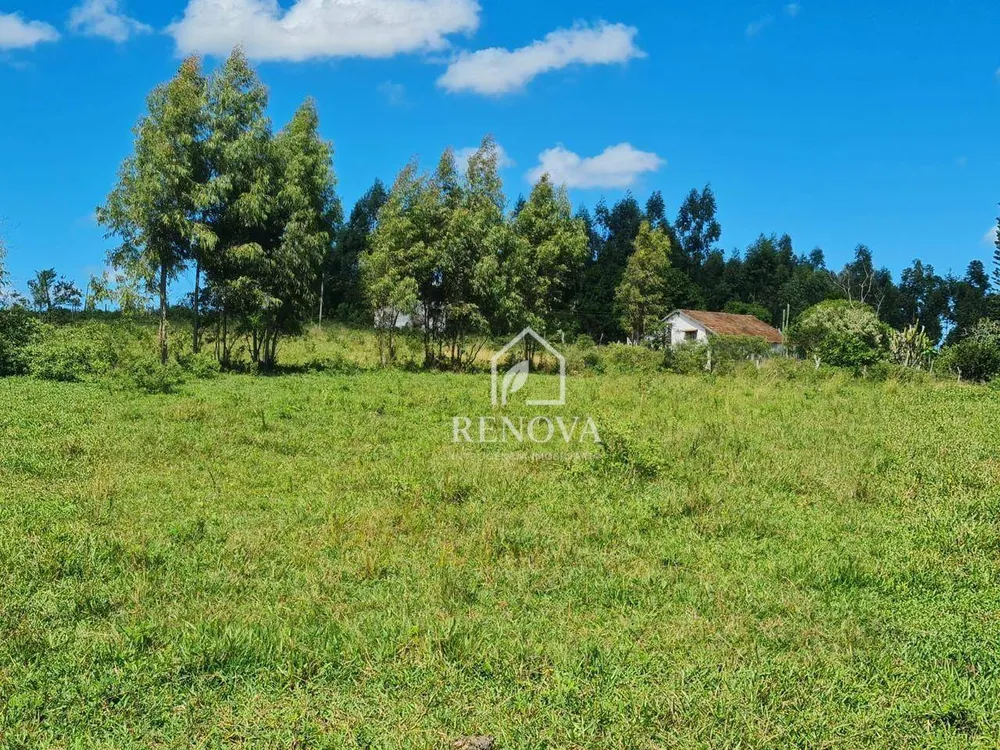 Fazenda, 249 hectares - Foto 26
