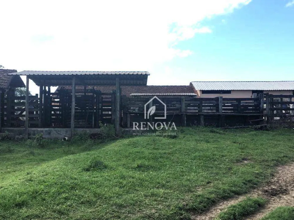 Fazenda, 249 hectares - Foto 10