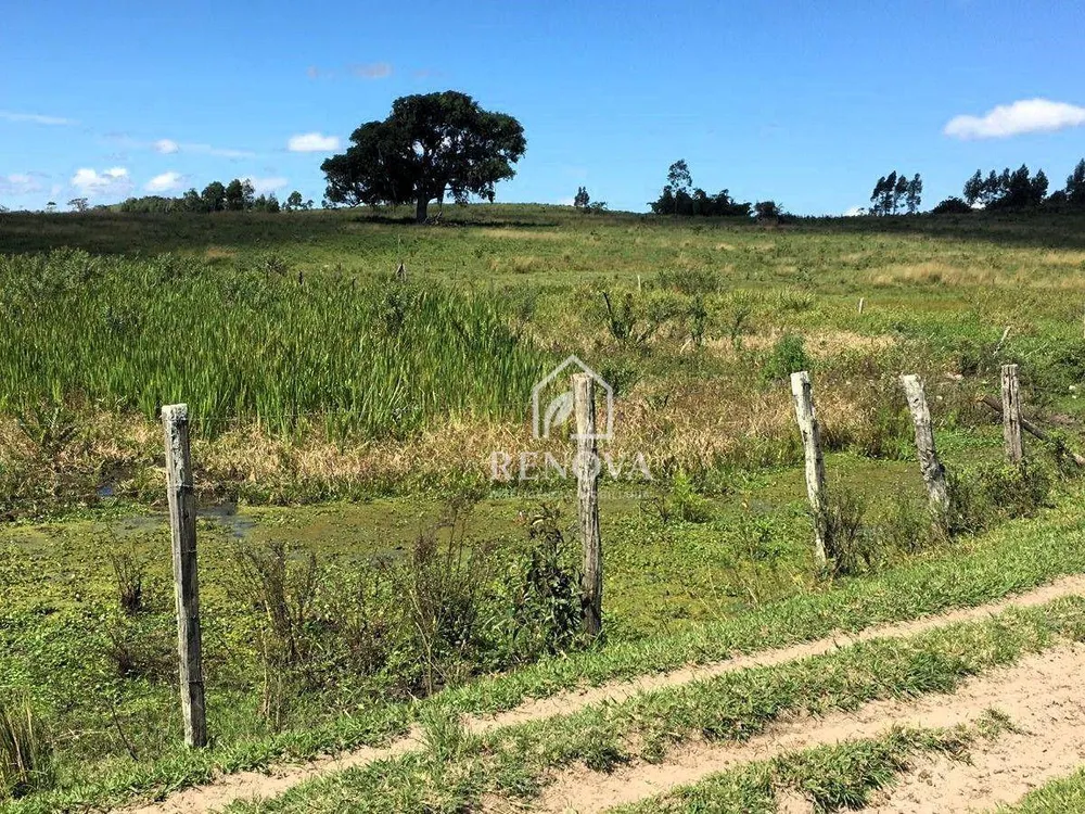 Fazenda, 249 hectares - Foto 2