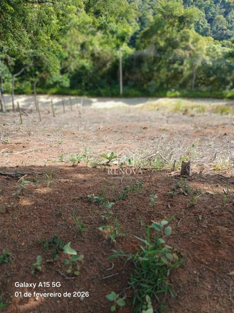Terreno, 423 m² - Foto 6