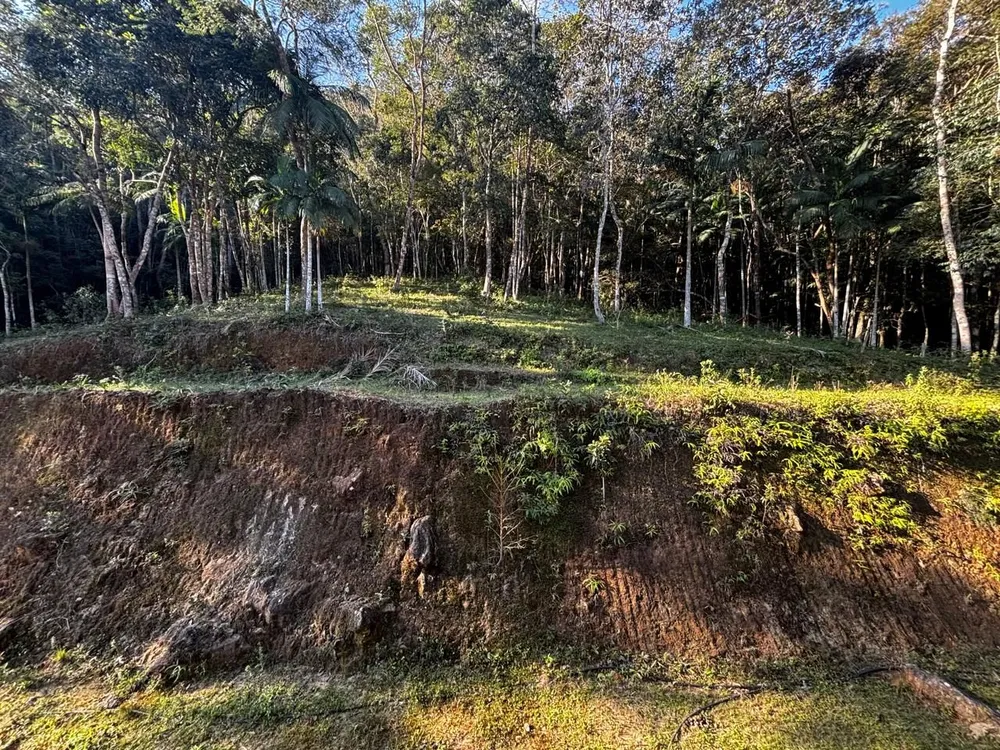 Sítio, 7 quartos, 22 hectares - Foto 21