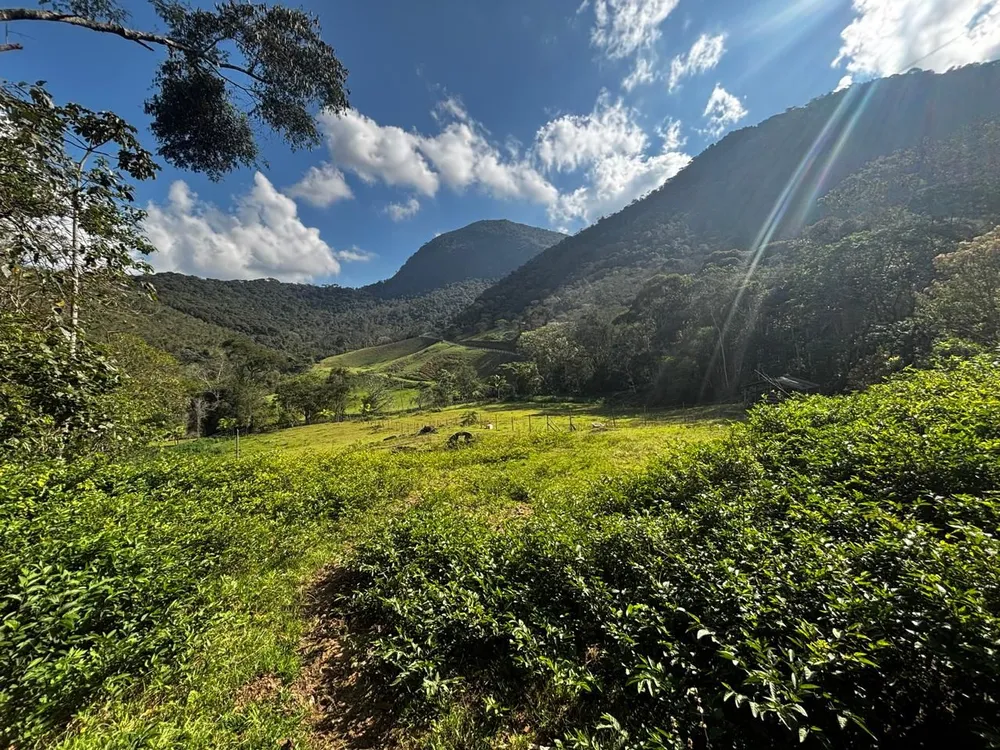 Sítio, 7 quartos, 22 hectares - Foto 6
