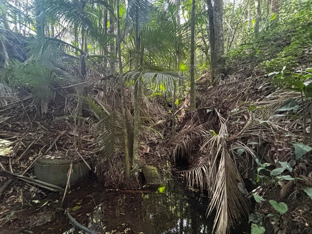 Sítio, 7 quartos, 22 hectares - Foto 12