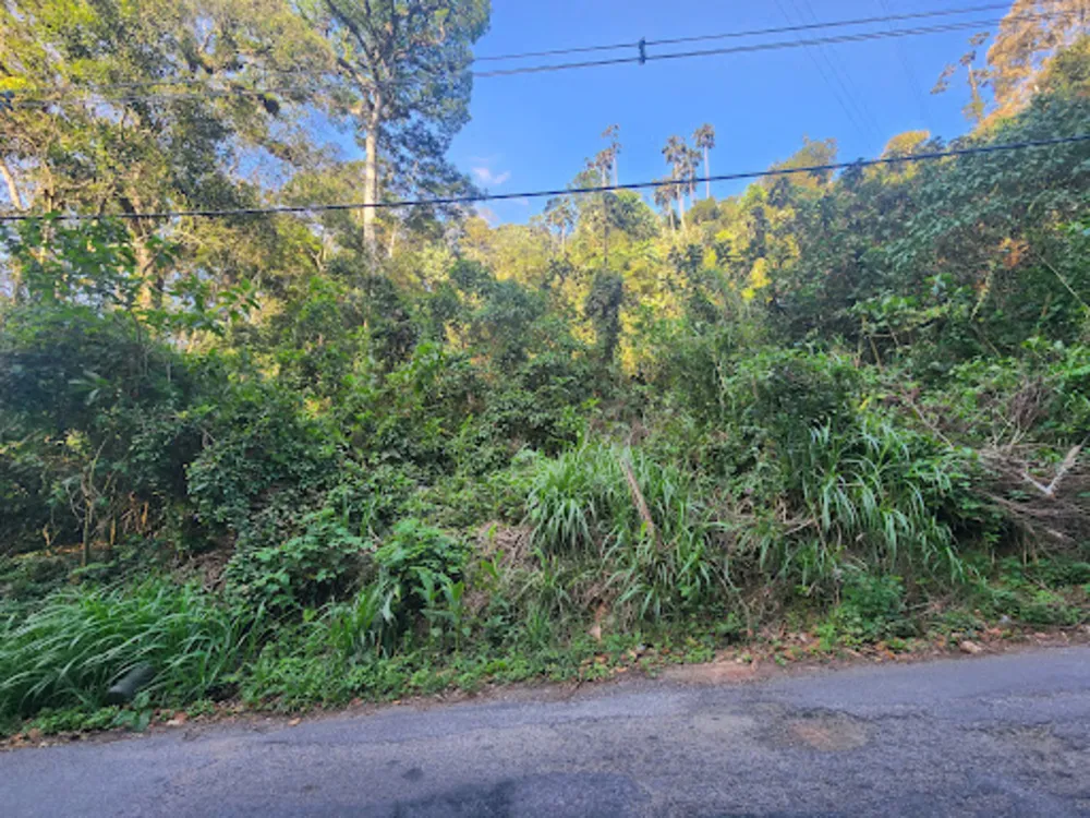 Terreno, 3565 m² - Foto 4