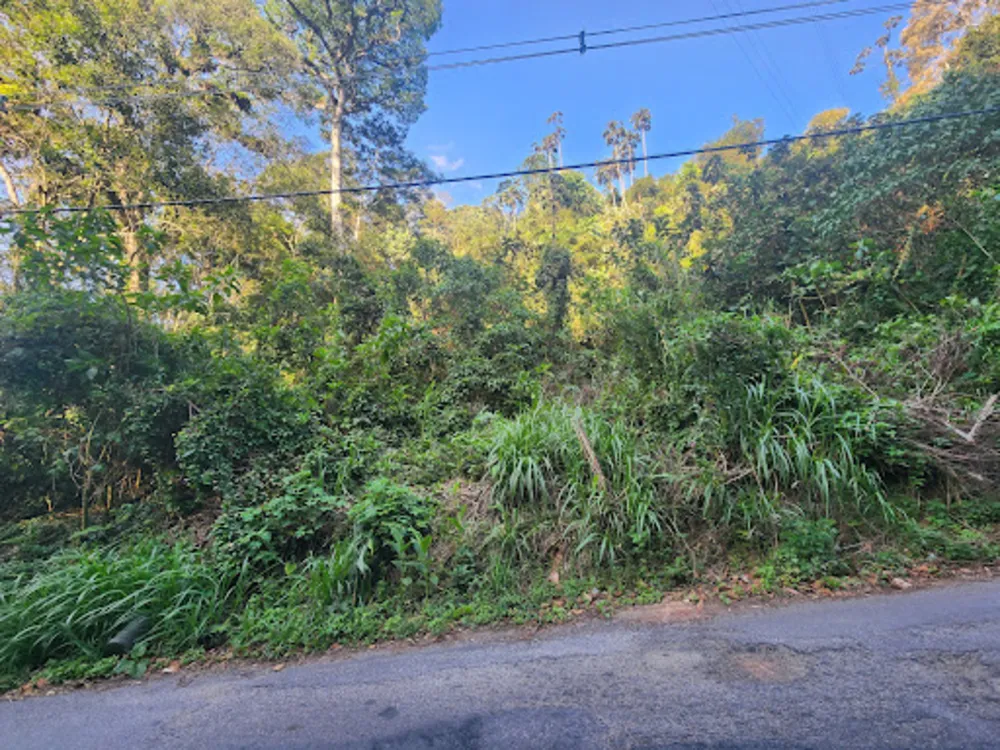 Terreno, 3565 m² - Foto 3