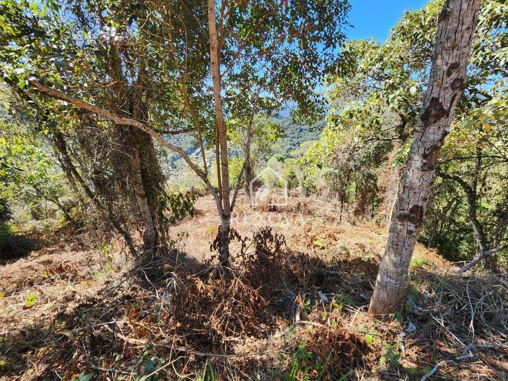 Loteamento e Condomínio, 1271 m² - Foto 7