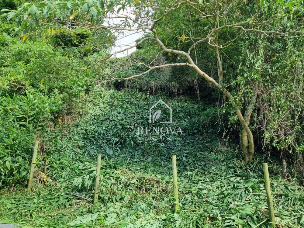 Terreno, 239 m² - Foto 1