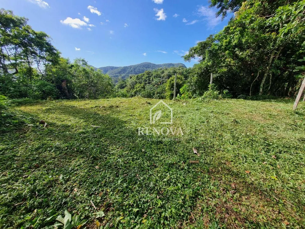 Terreno, 239 m² - Foto 3