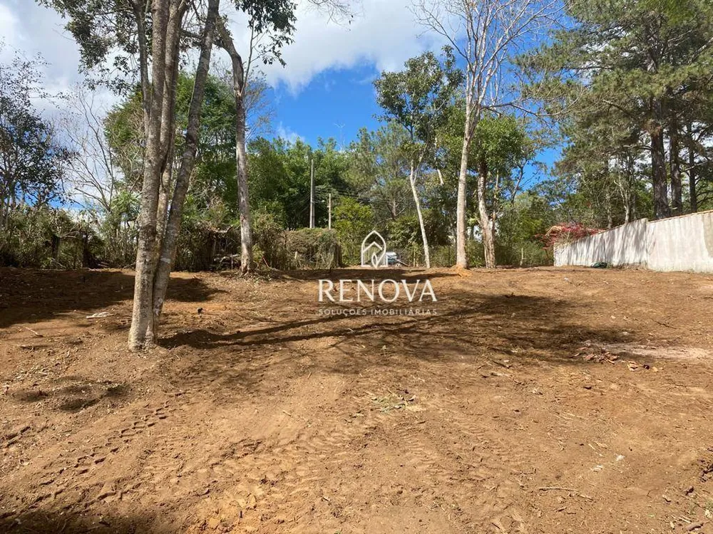 Terreno, 5161 m² - Foto 5