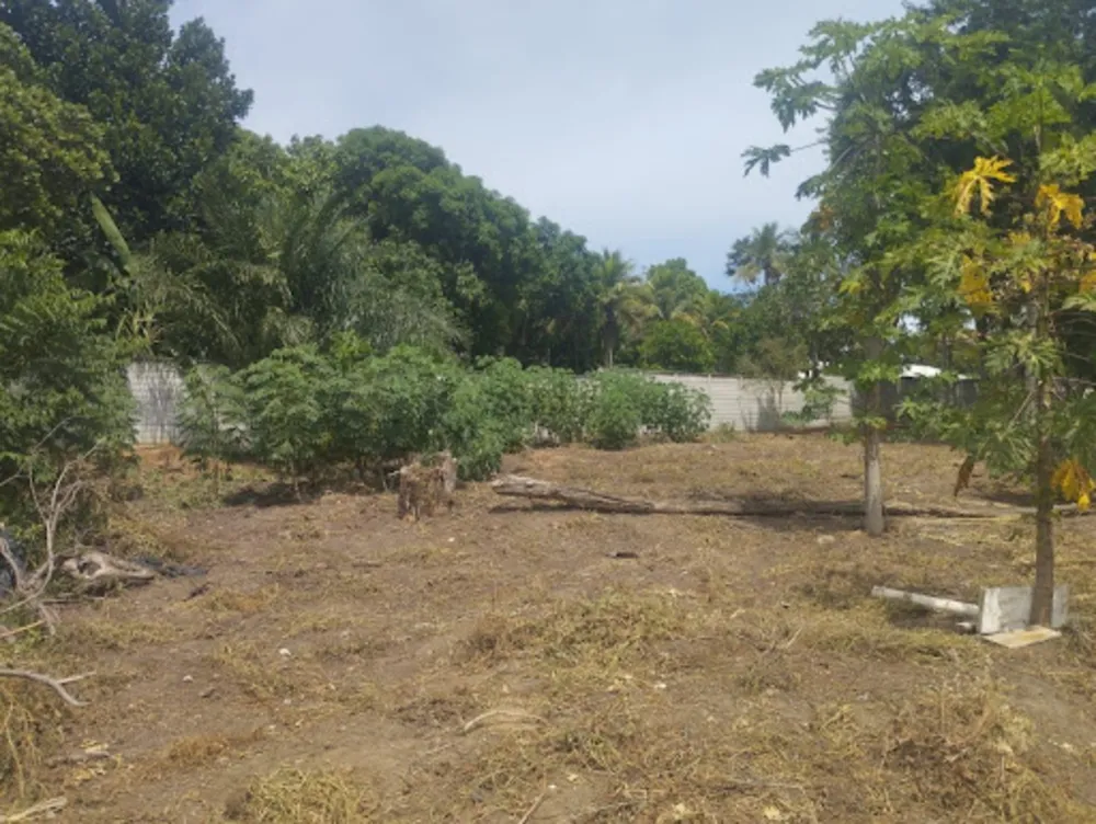 Terreno, 2000 m² - Foto 4