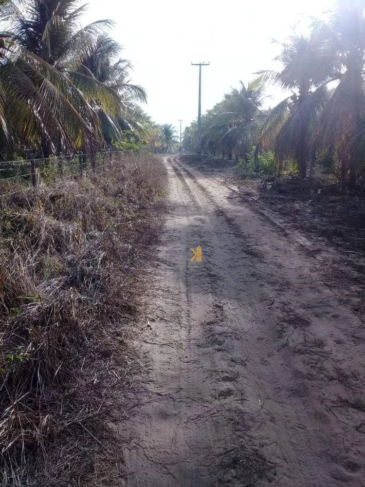 Terreno, 16 hectares - Foto 4