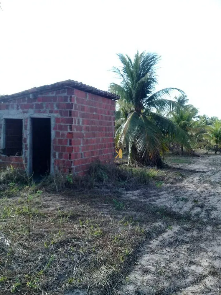 Terreno, 16 hectares - Foto 2