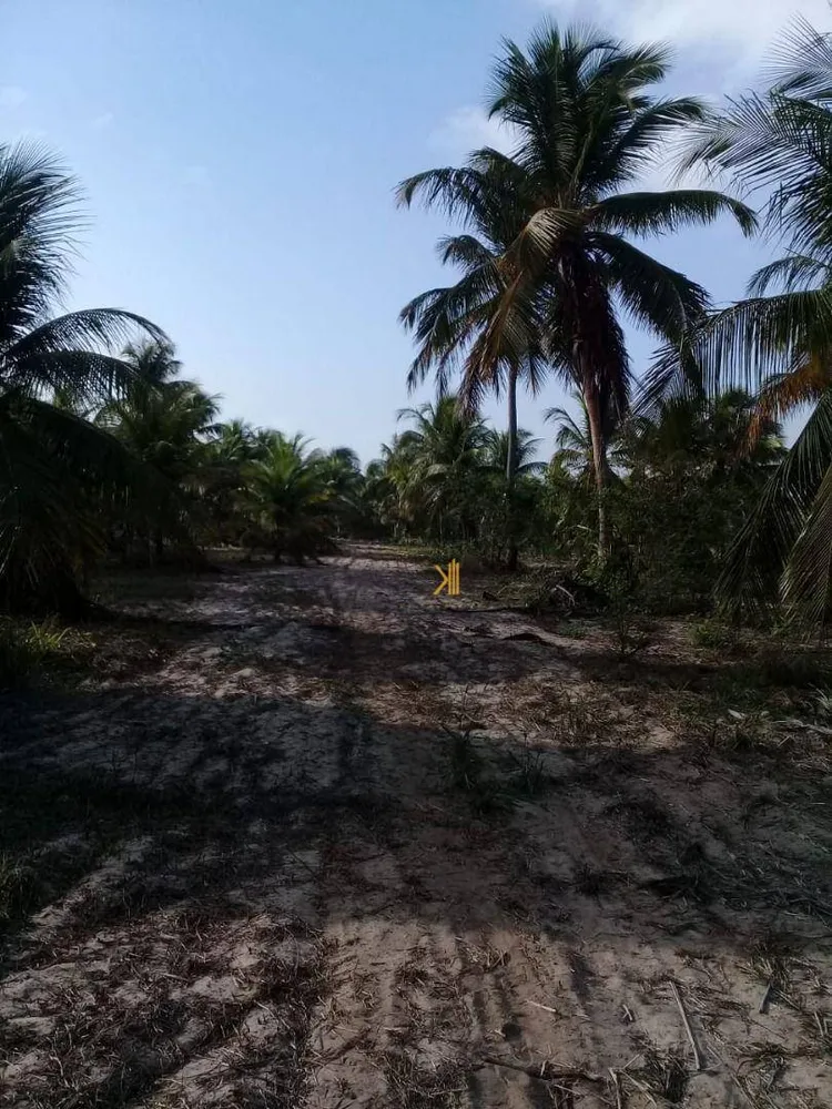 Terreno, 16 hectares - Foto 3