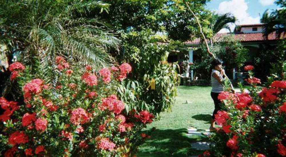 Pousada-Chalé, 9 quartos, 3000 m² - Foto 1