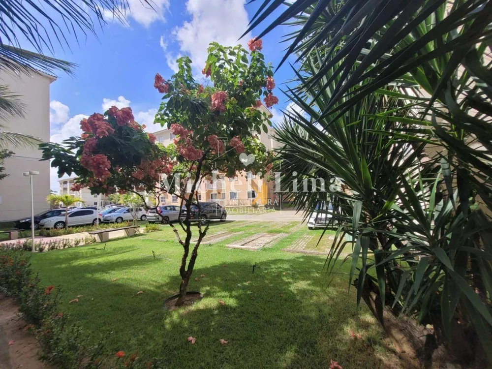 Apartamento, 3 quartos, 65 m² - Foto 2
