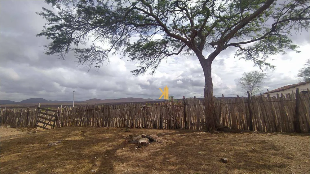 Fazenda, 2500 hectares - Foto 1