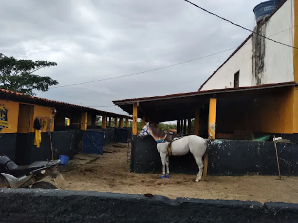 Fazenda, 12 hectares - Foto 1