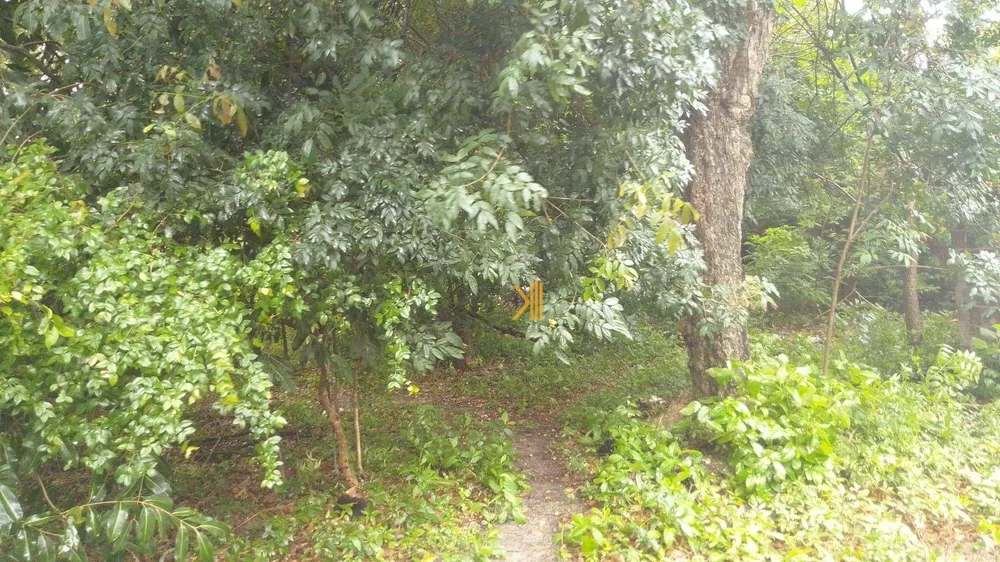Terreno, 2808 m² - Foto 3