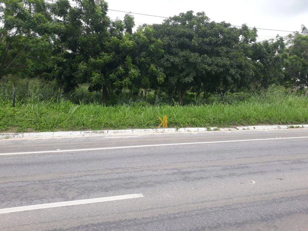 Terreno, 3 hectares - Foto 2