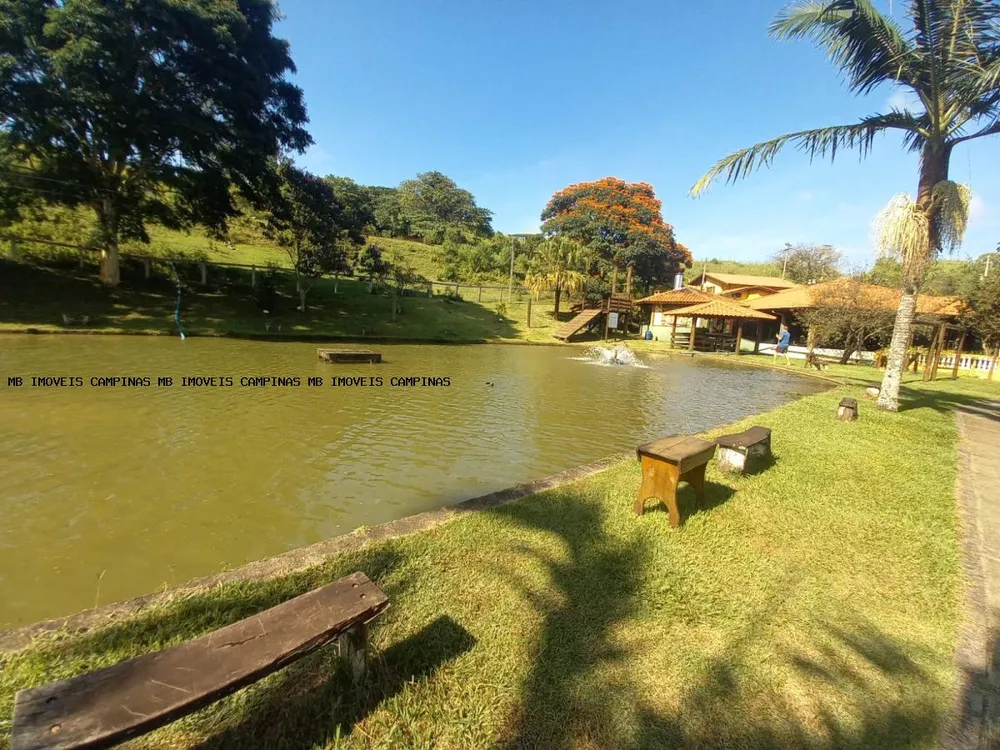 Fazenda - Foto 4