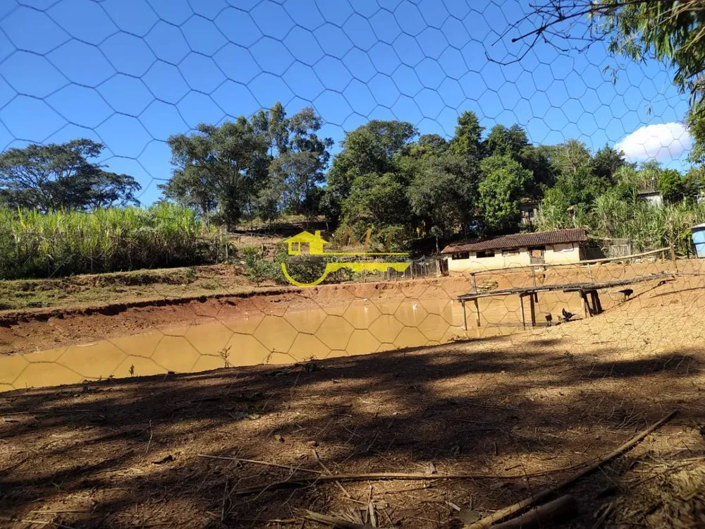 Chácara, 5 quartos, 2 hectares - Foto 13