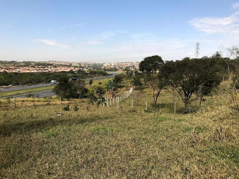 Terreno, 4393 m² - Foto 5