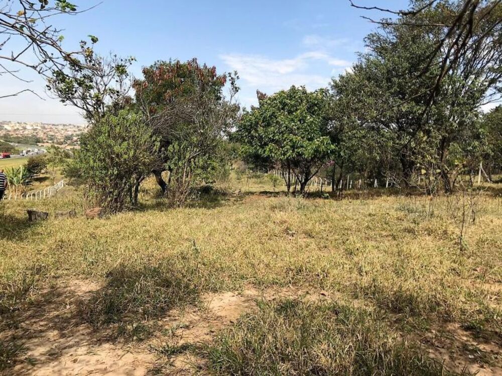 Terreno, 4393 m² - Foto 4