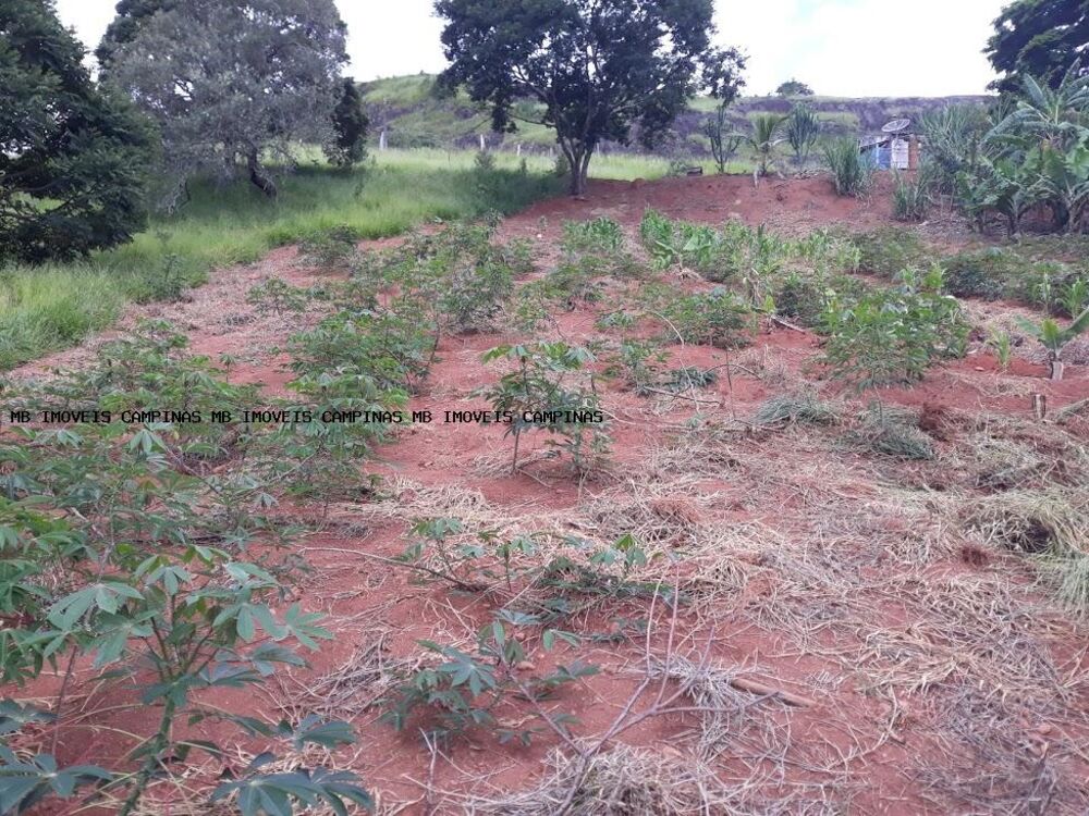 Terreno, 2050 m² - Foto 5